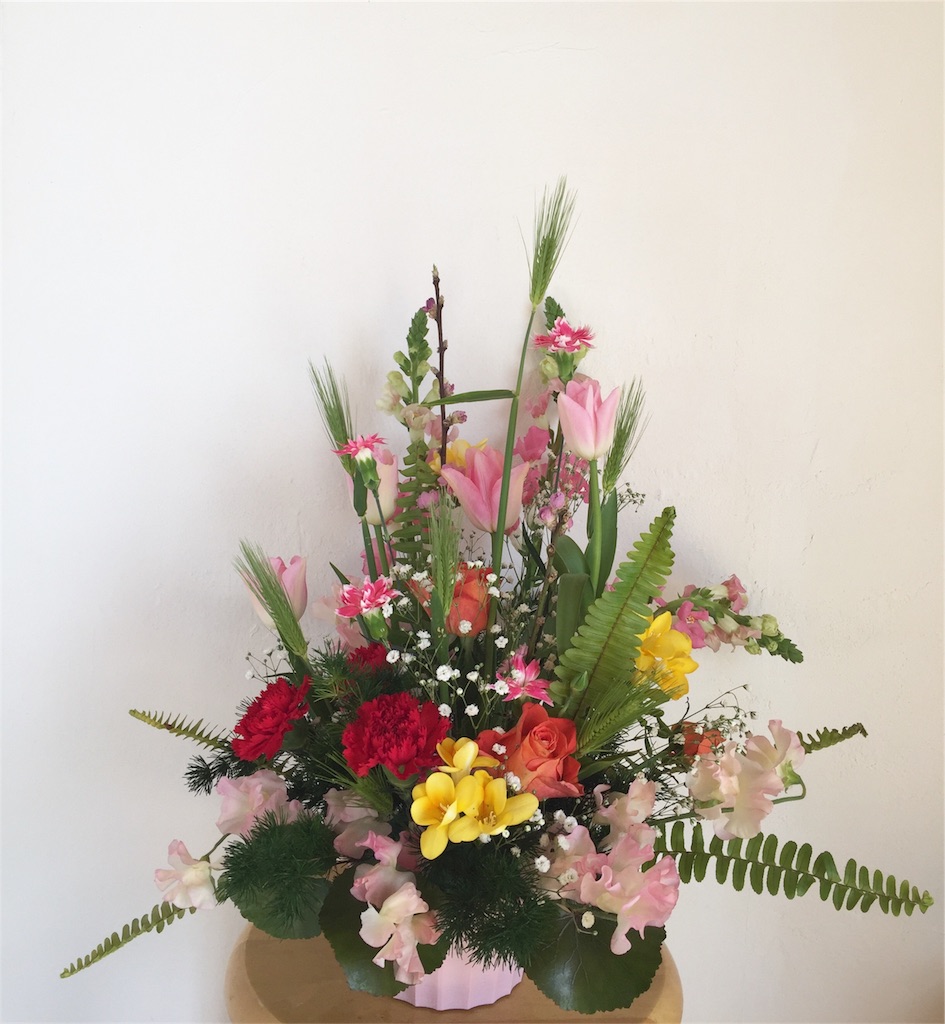 f:id:odayakabiyori:20170228101139j:image f:id:odayakabiyori:20170228101139j:image