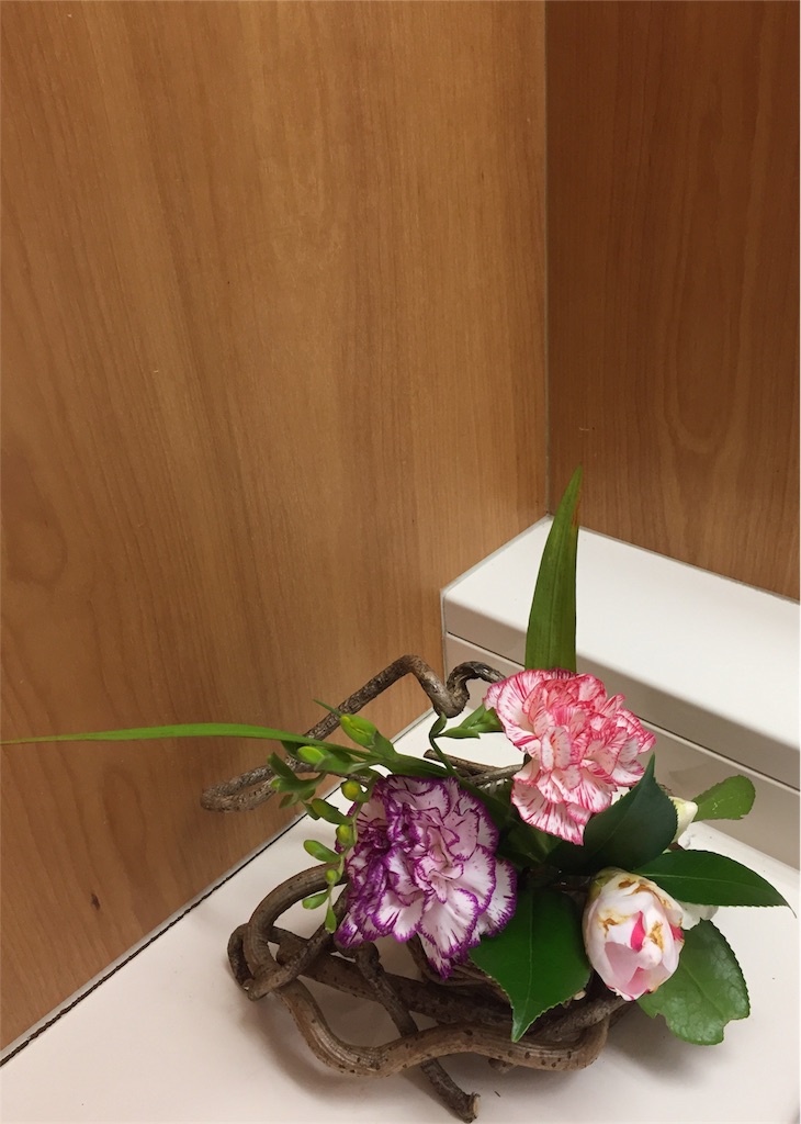 f:id:odayakabiyori:20170315132610j:image f:id:odayakabiyori:20170315132610j:image