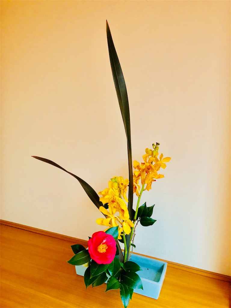 f:id:odayakabiyori:20200215081634j:image f:id:odayakabiyori:20200215081634j:image