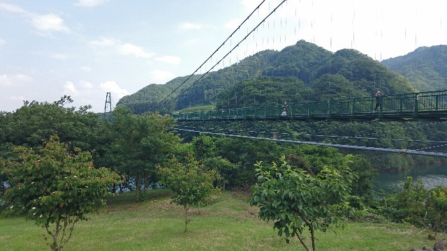 f:id:odayakanahibini:20190628194532j:image f:id:odayakanahibini:20190628194532j:image