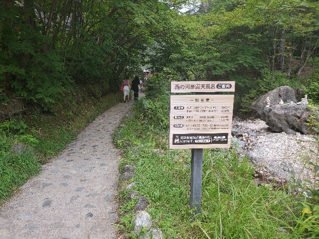 f:id:odayakanahibini:20200909115400j:image