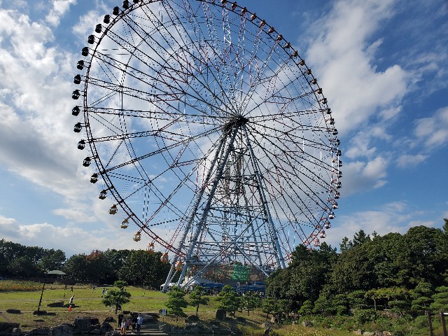 f:id:odayakanahibini:20201118165944j:image