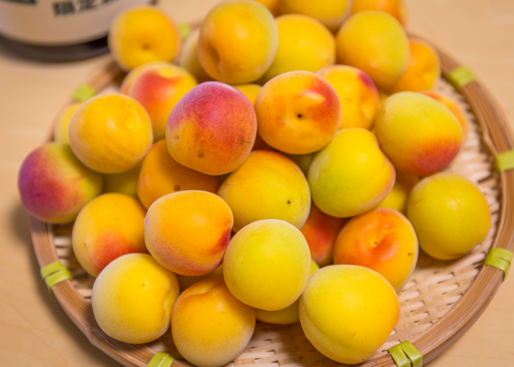 f:id:odayasu:20160629094704j:plain f:id:odayasu:20160629094704j:plain