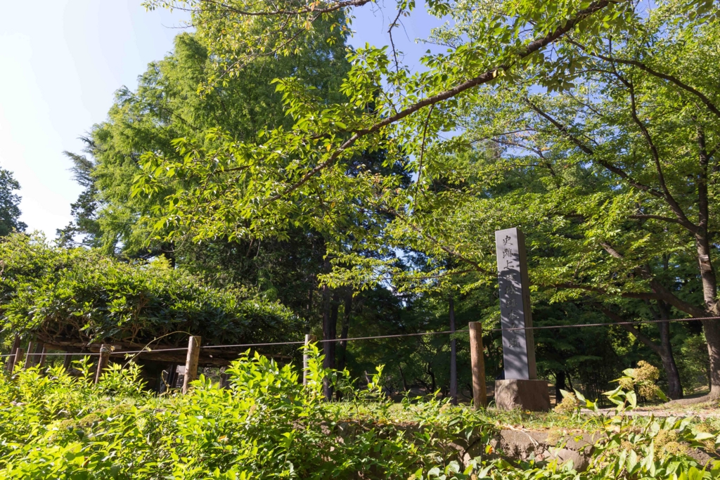 f:id:odayasu:20161010125530j:plain