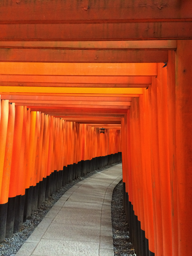 f:id:odayu:20210123220643j:plain