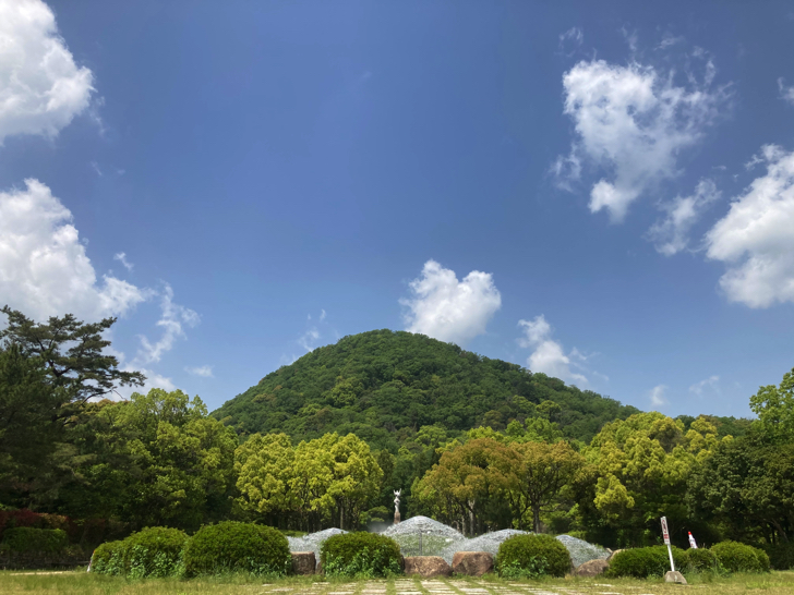 f:id:odayu:20210509221318j:plain