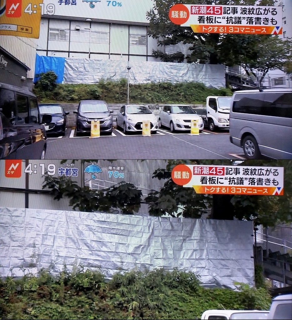 f:id:odd_hatch:20180925225850j:plain f:id:odd_hatch:20180925225850j:plain