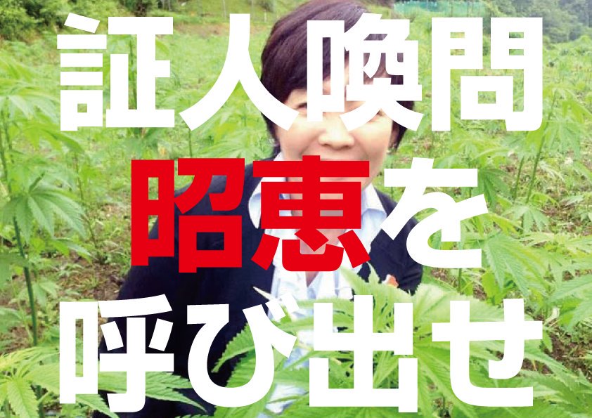 f:id:odd_hatch:20190528145751j:plain