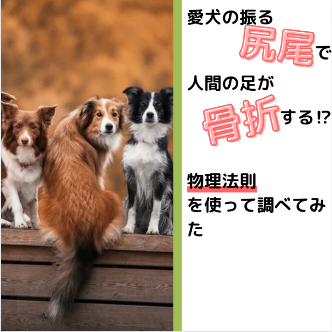 物理から考える 愛犬の振る尻尾で人間は骨折するのか おちゃまるの頭の中