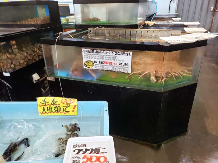 水槽に入った海鮮2