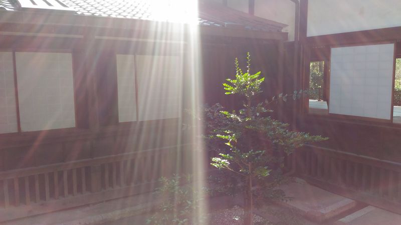 f:id:odekakefu:20181022081235j:plain