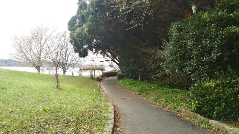 f:id:odekakefu:20181113215551j:plain