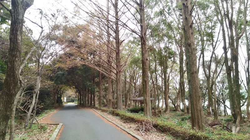 f:id:odekakefu:20181113221601j:plain