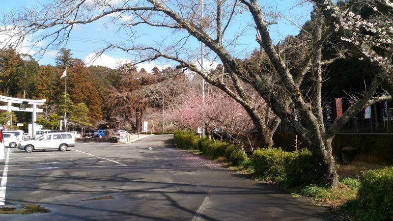 f:id:odekakefu:20190307084252j:plain