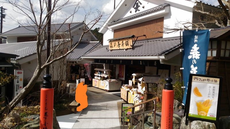 f:id:odekakefu:20190307085616j:plain