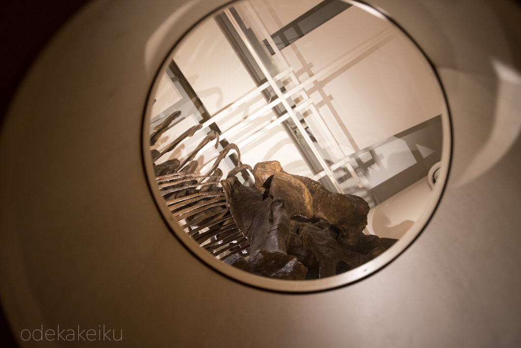 f:id:odekakeiku:20160720152919j:plain