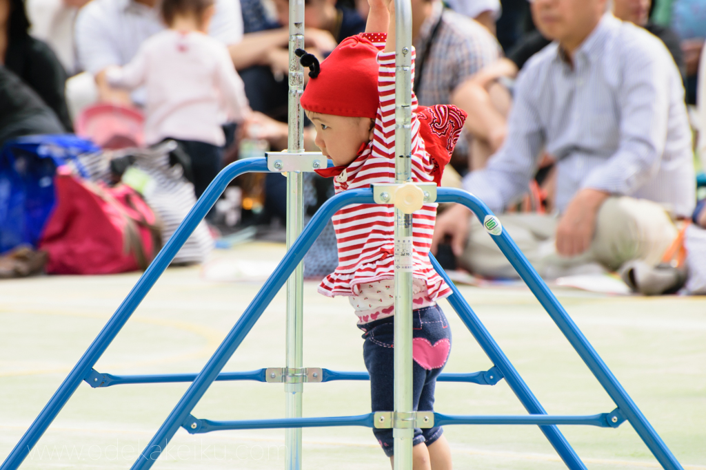 望遠レンズ 動物園、運動会、卒業式、入学式など、子育て世代には
