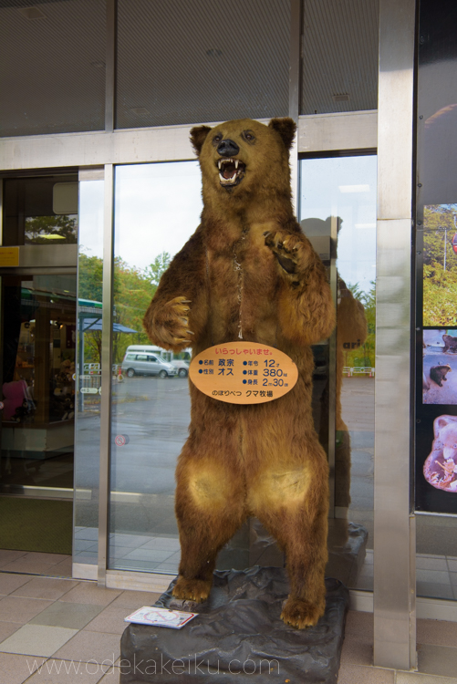 のぼりべつクマ牧場 少し突っ込みどころもあるけど楽しく学べるヒグマの楽園 お出かけいく