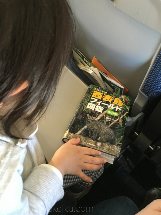 f:id:odekakeiku:20170113163232j:plain