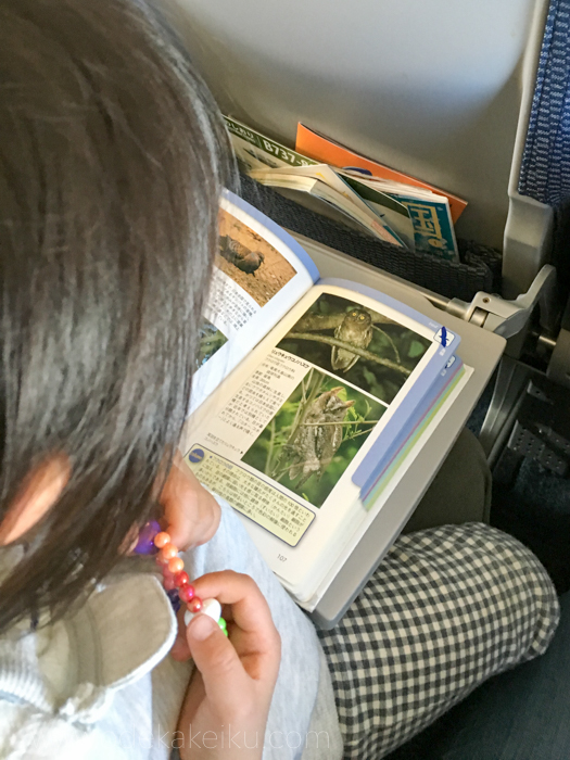 f:id:odekakeiku:20170113164927j:plain