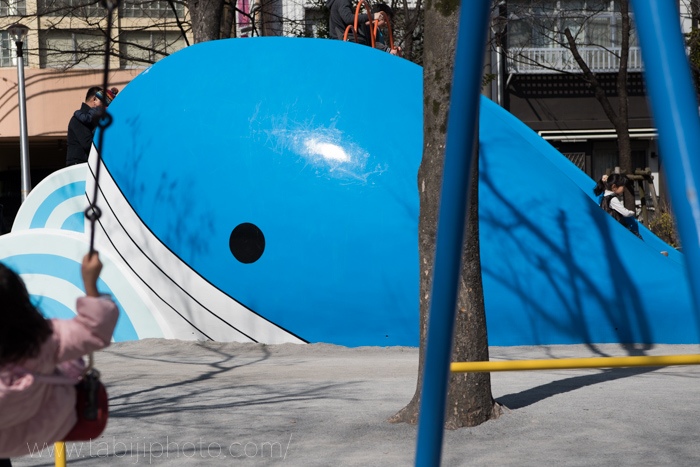 f:id:odekakeiku:20170227204229j:plain f:id:odekakeiku:20170227204229j:plain