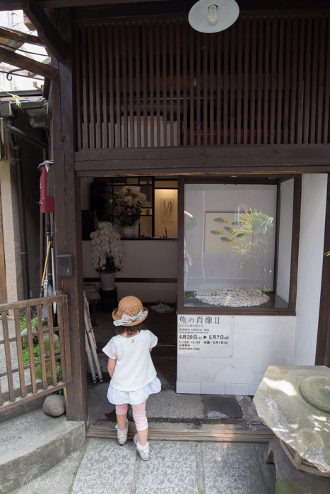 f:id:odekakeiku:20170508214339j:plain