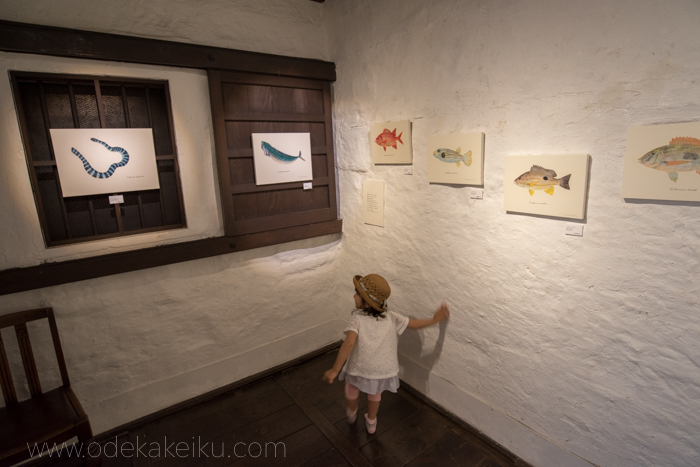 f:id:odekakeiku:20170508234502j:plain