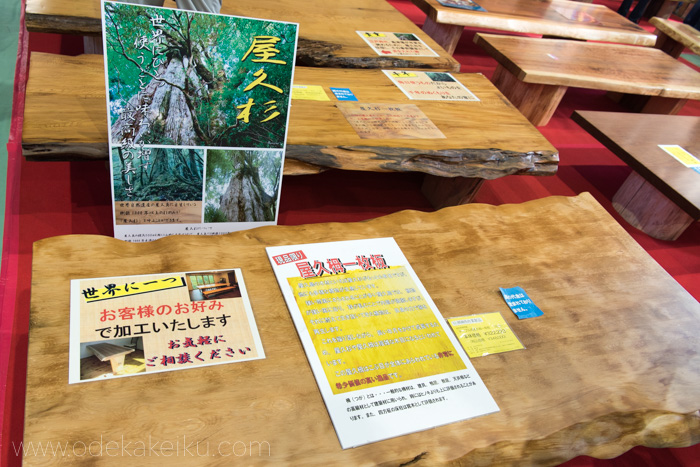 f:id:odekakeiku:20171103233838j:plain