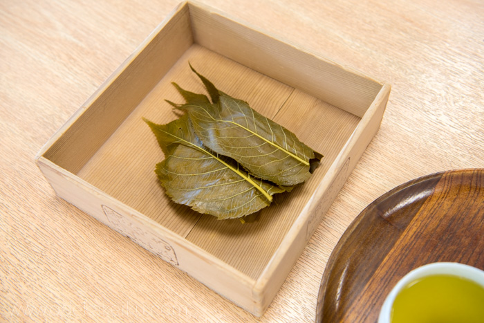 f:id:odekakeiku:20180322232918j:plain