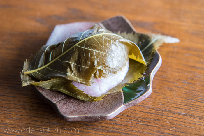 f:id:odekakeiku:20180324214639j:plain