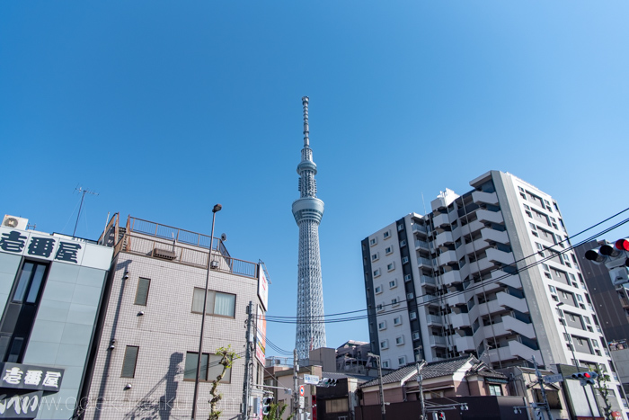 f:id:odekakeiku:20190508225740j:plain