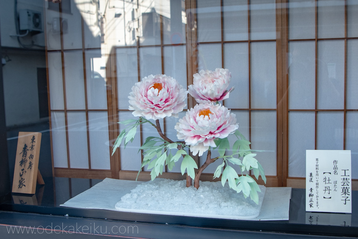 f:id:odekakeiku:20190508225757j:plain