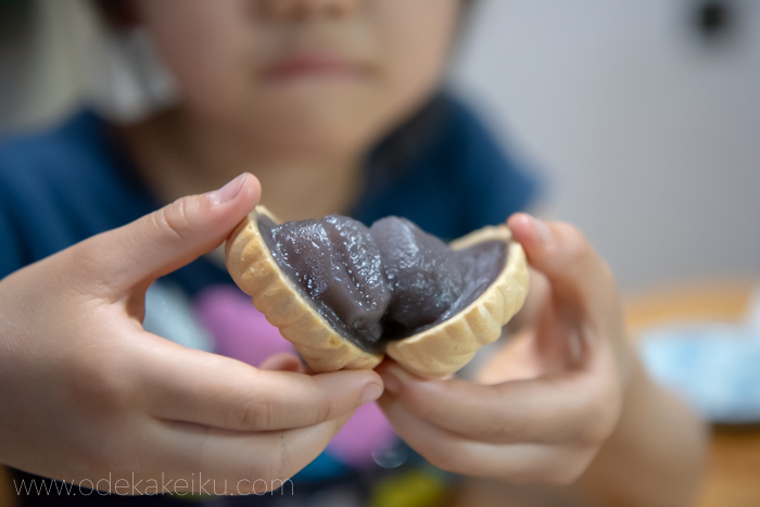 f:id:odekakeiku:20190508225853j:plain