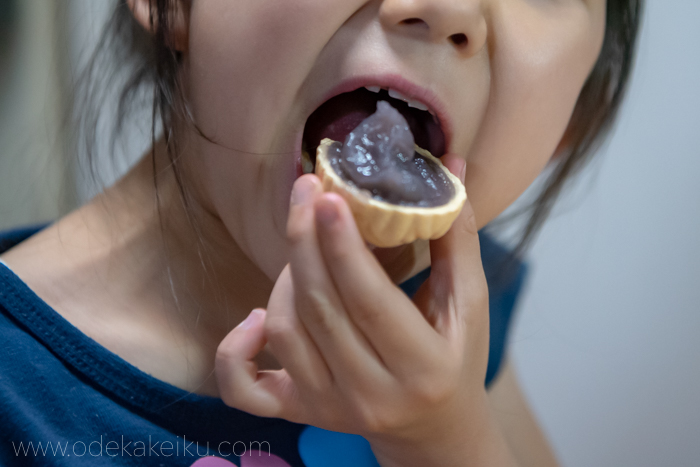 f:id:odekakeiku:20190508225857j:plain