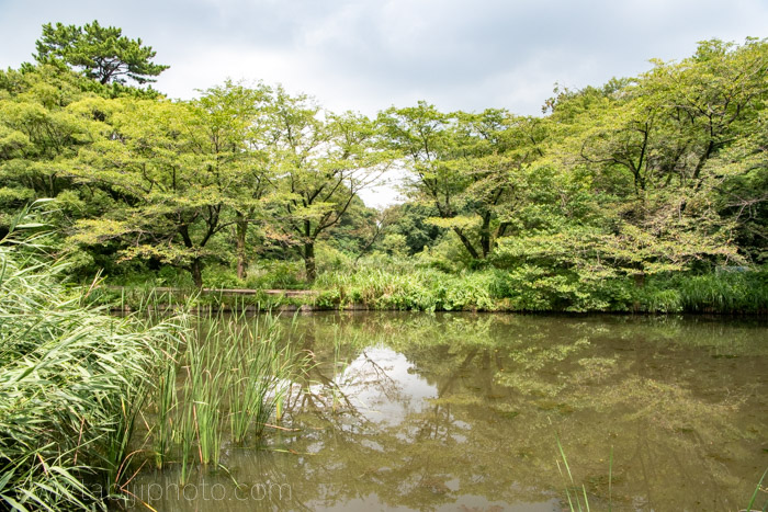 f:id:odekakeiku:20190822163401j:plain