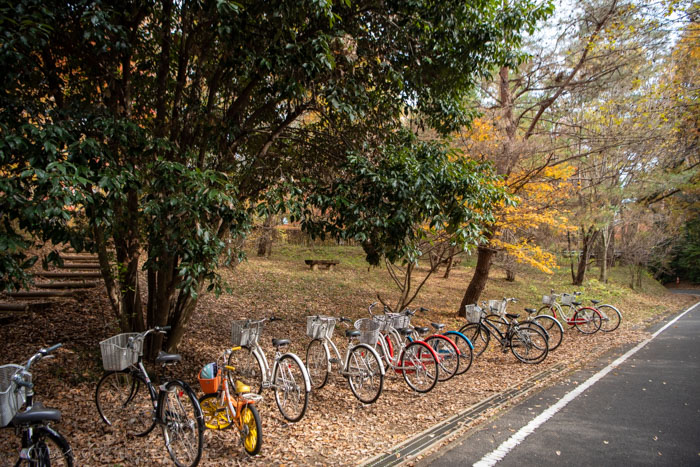 f:id:odekakeiku:20191220230326j:plain
