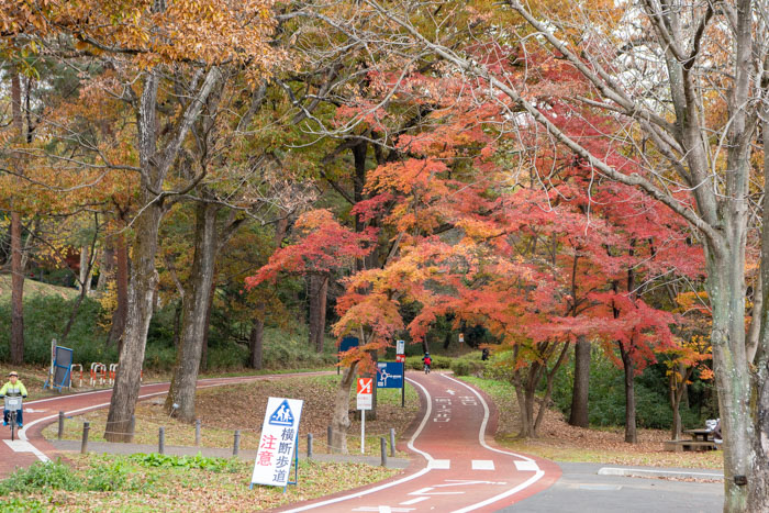 f:id:odekakeiku:20191220230349j:plain
