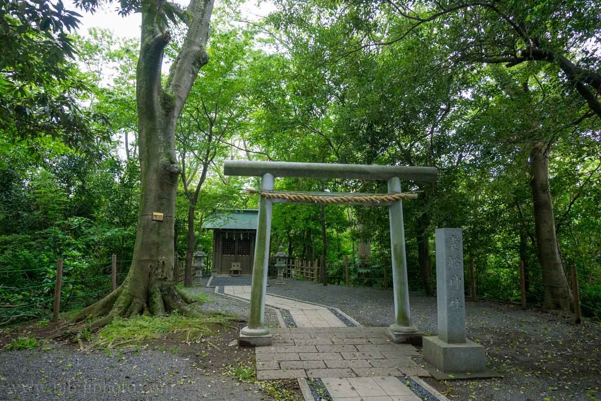 f:id:odekakeiku:20200322221122j:plain