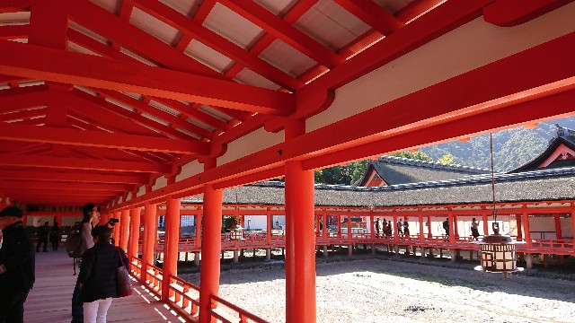 f:id:odekakeodekake:20191115090754j:image f:id:odekakeodekake:20191115090754j:image