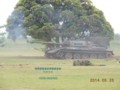 [74式戦車][自衛隊][陸上自衛隊][陸自][JGSDF][武山駐屯地][戦車][MBT][三菱重工業][日本製鋼所]74式戦車 その3 (仮想敵軍戦車)