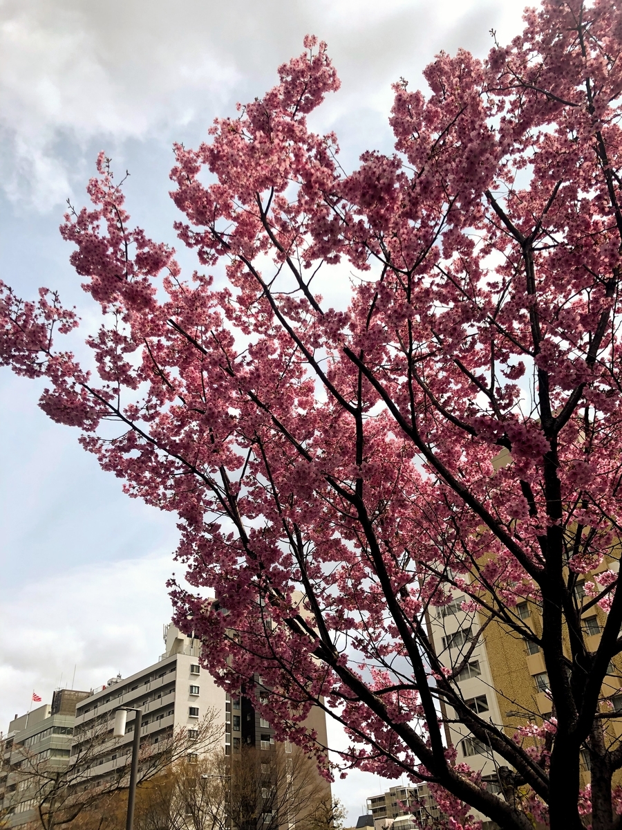 f:id:odmishien:20190328130708j:plain