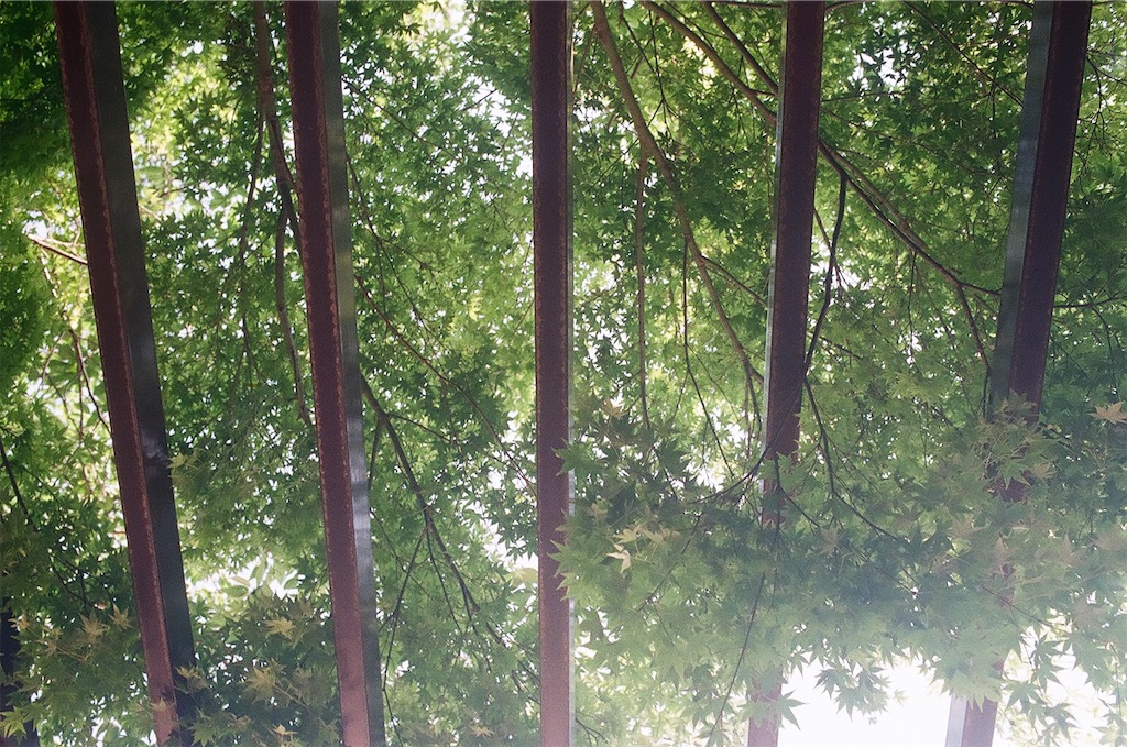 f:id:odmishien:20190616123606j:image f:id:odmishien:20190616123606j:image