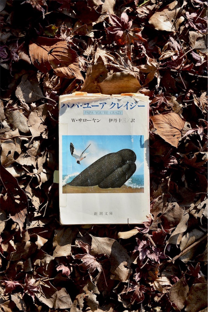 f:id:odolishi:20200205064414j:image f:id:odolishi:20200205064414j:image