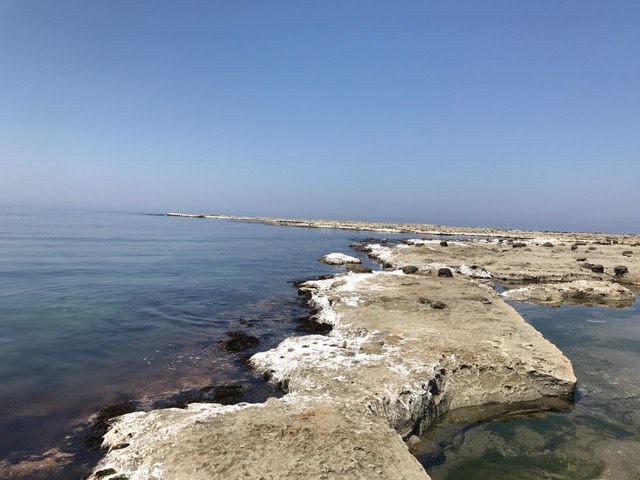 f:id:odryu:20180428225617j:plain f:id:odryu:20180428225617j:plain