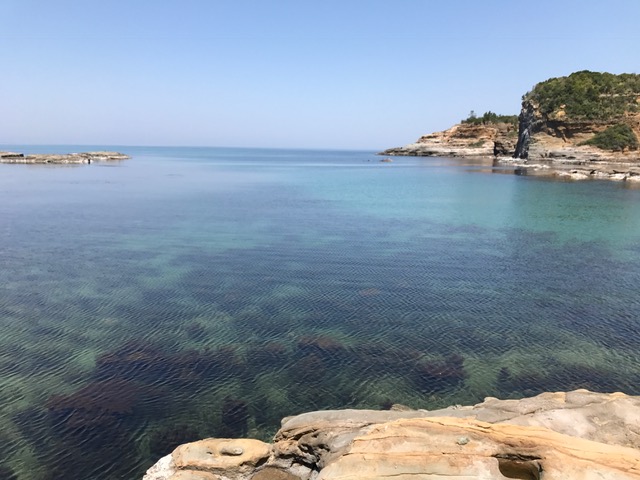 f:id:odryu:20180428230009j:plain f:id:odryu:20180428230009j:plain