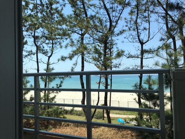 f:id:odryu:20180428231035j:plain f:id:odryu:20180428231035j:plain