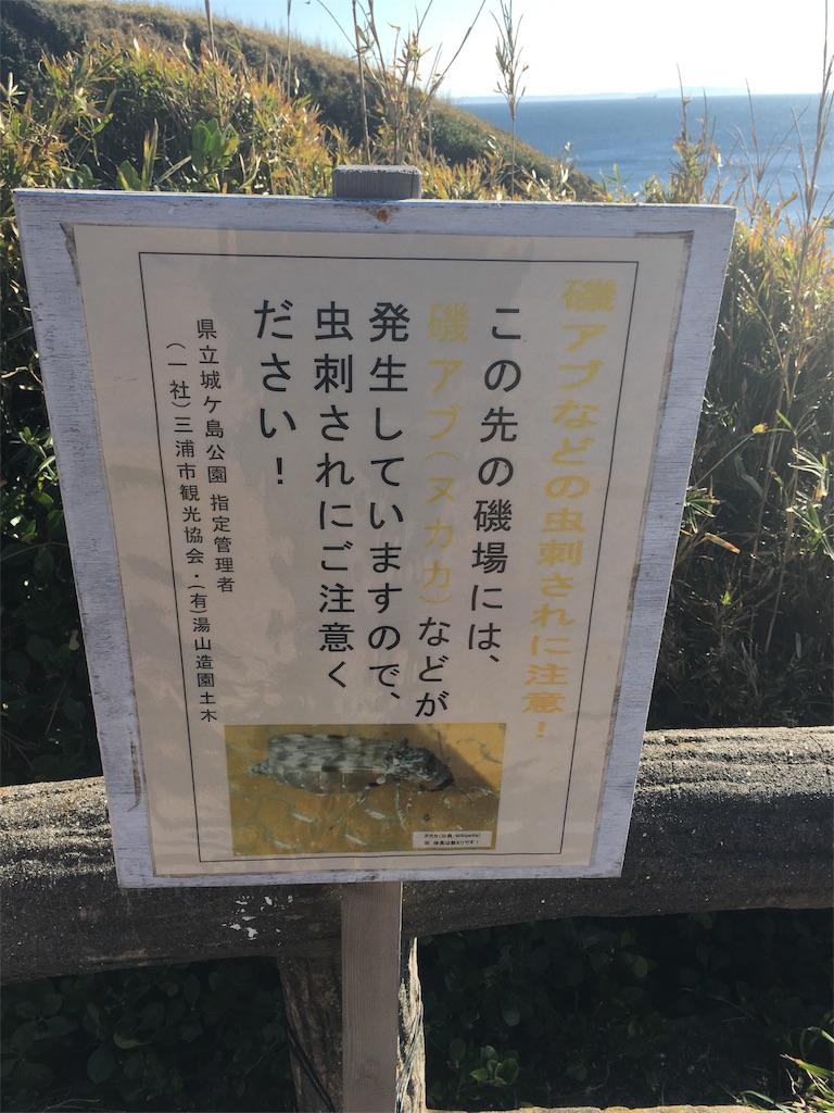 f:id:odsgo11:20170105135554j:image