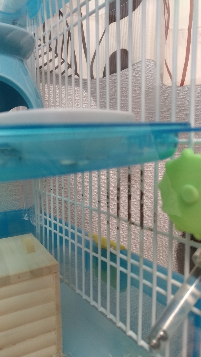 f:id:oe526:20190321170404j:plain f:id:oe526:20190321170404j:plain