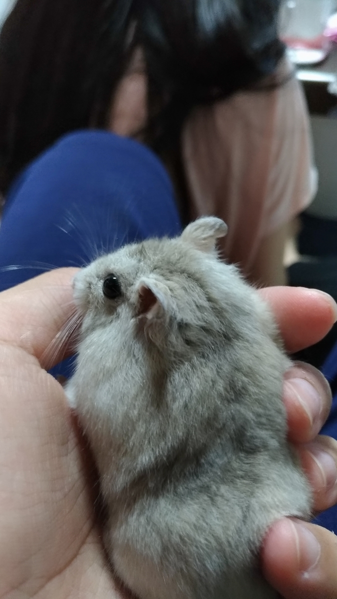 f:id:oe526:20190826165558j:plain f:id:oe526:20190826165558j:plain