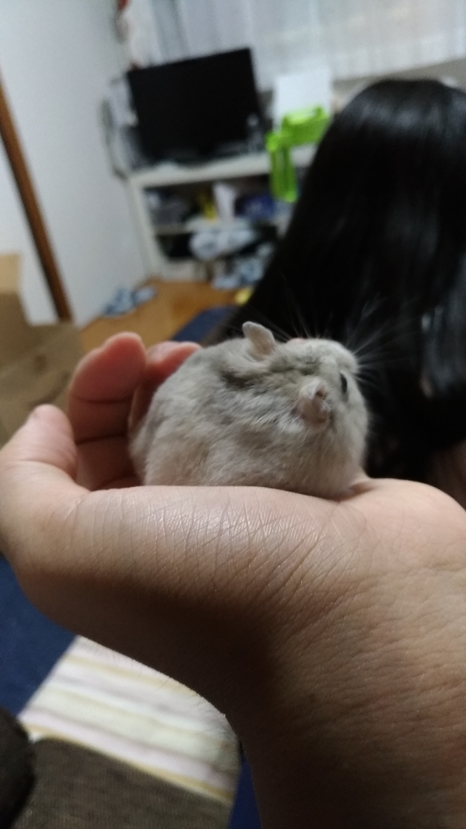 f:id:oe526:20190826165602j:plain f:id:oe526:20190826165602j:plain